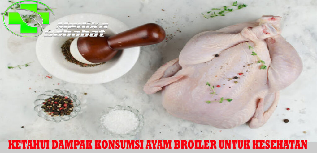 Ketahui Dampak Konsumsi Ayam Broiler untuk Kesehatan